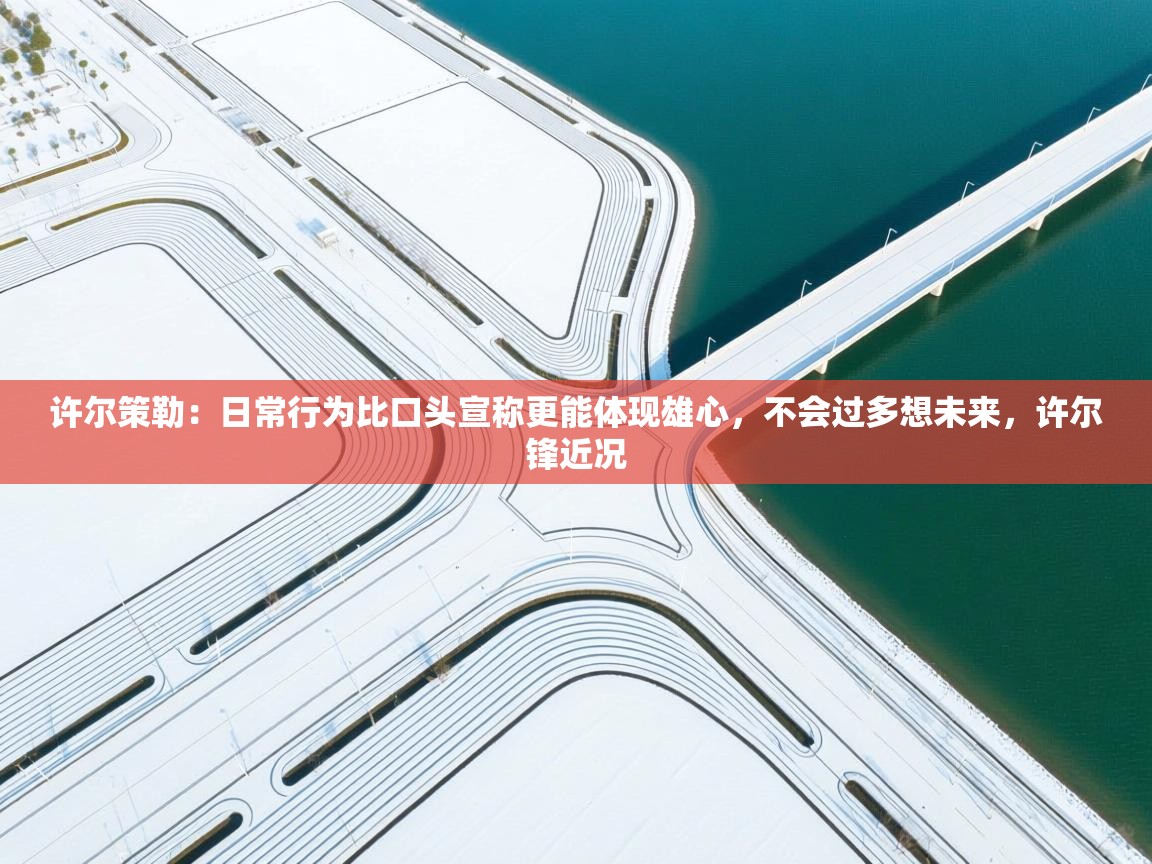 爱游戏真人体育娱乐-许尔策勒:日常行为比口头宣称更能体现雄心,不会过多想未来,许尔锋近况 第3张