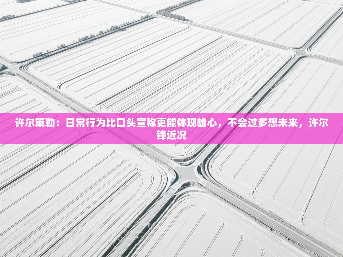 爱游戏真人体育娱乐-许尔策勒:日常行为比口头宣称更能体现雄心,不会过多想未来,许尔锋近况 第4张