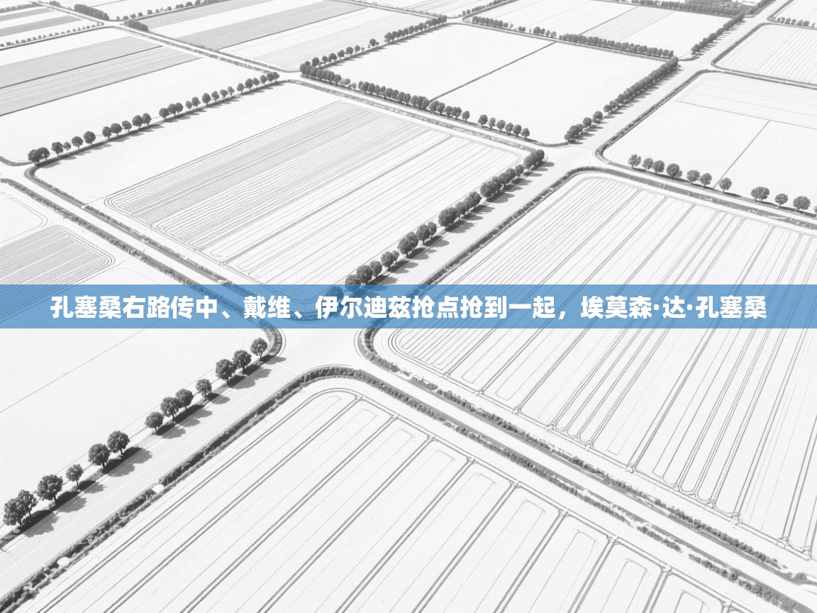 爱游戏在线官网-孔塞桑右路传中、戴维、伊尔迪兹抢点抢到一起，埃莫森·达·孔塞桑  第2张