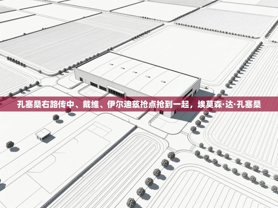 爱游戏在线官网-孔塞桑右路传中、戴维、伊尔迪兹抢点抢到一起，埃莫森·达·孔塞桑  第3张