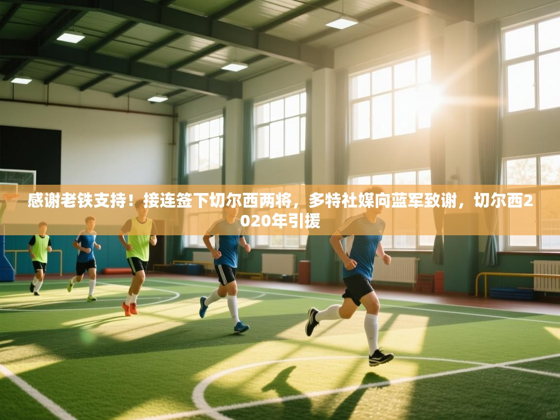 爱游戏体育入口app-感谢老铁支持！接连签下切尔西两将，多特社媒向蓝军致谢，切尔西2020年引援  第3张