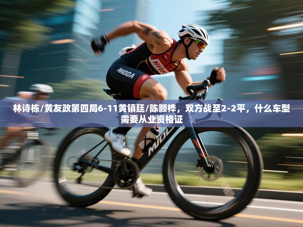 爱游戏体育入口app-林诗栋/黄友政第四局6-11黄镇廷/陈颢桦,双方战至2-2平,什么车型需要从业资格证 第4张