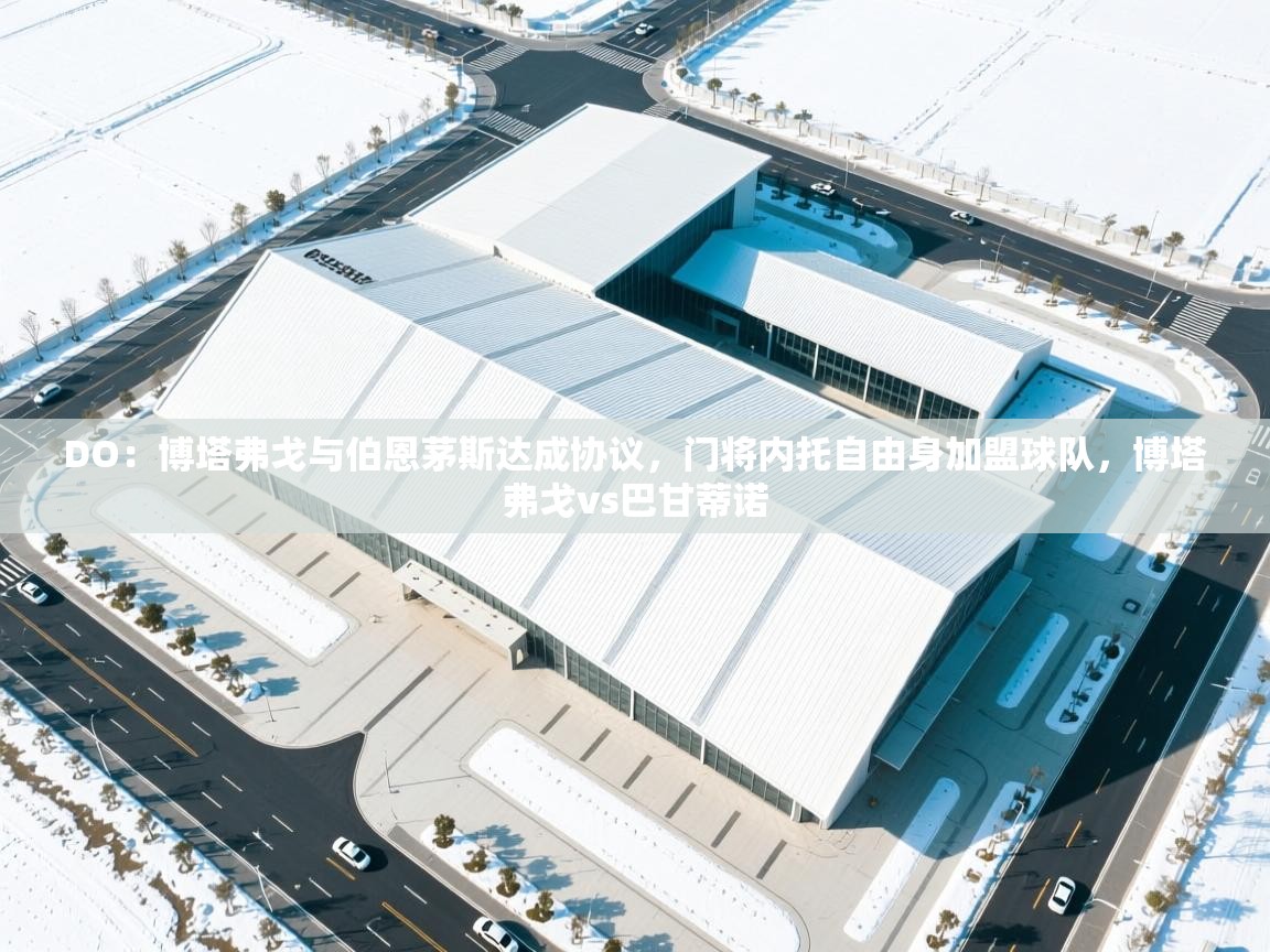 爱游戏体育娱乐赞助马竞-DO：博塔弗戈与伯恩茅斯达成协议，门将内托自由身加盟球队，博塔弗戈vs巴甘蒂诺  第4张