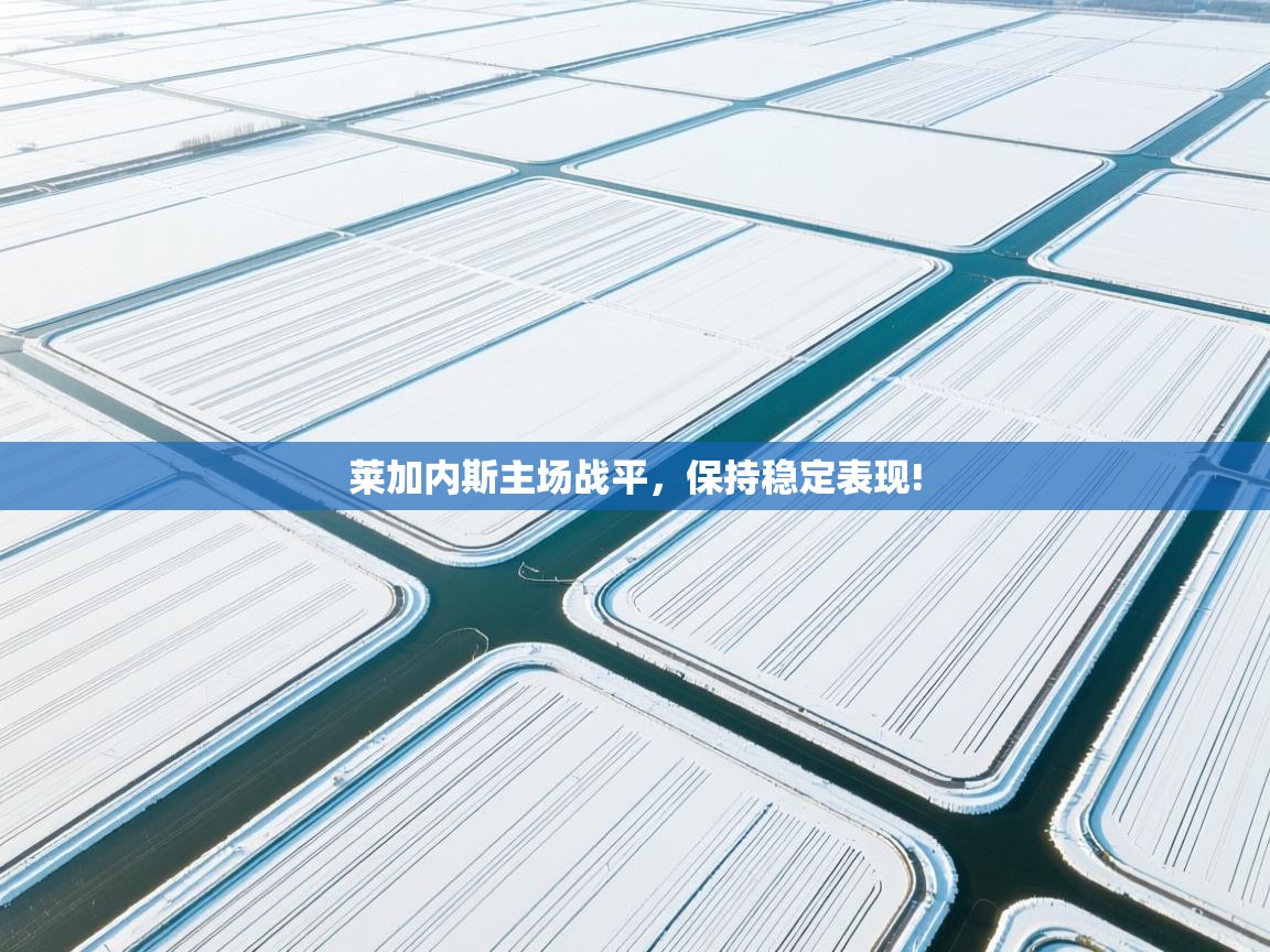 -莱加内斯主场战平,保持稳定表现! 第4张