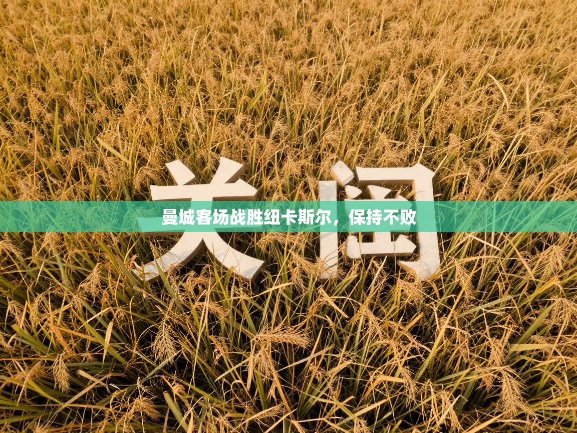 爱游戏娱乐赞助罗马02-曼城客场战胜纽卡斯尔,保持不败 第2张