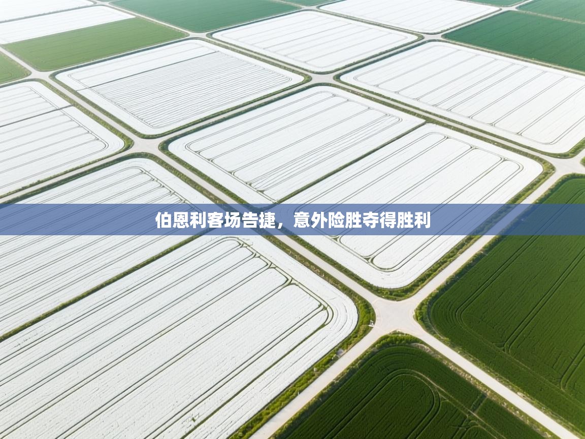 爱游戏厅下载-伯恩利客场告捷,意外险胜夺得胜利 第4张