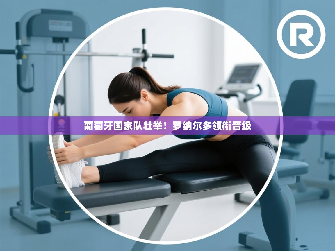 爱游戏娱乐体育官方入口-葡萄牙国家队壮举！罗纳尔多领衔晋级  第2张