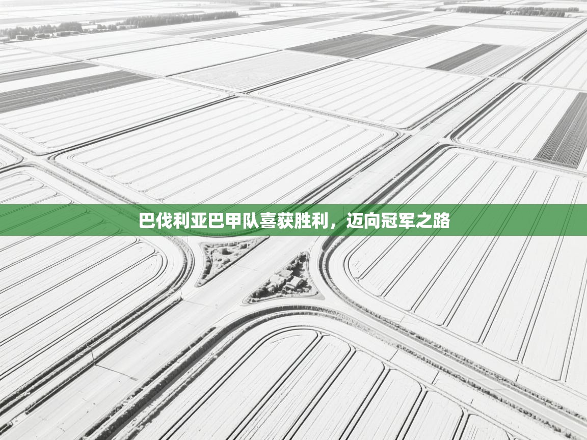 爱游戏体育娱乐赞助意甲-巴伐利亚巴甲队喜获胜利，迈向冠军之路  第3张