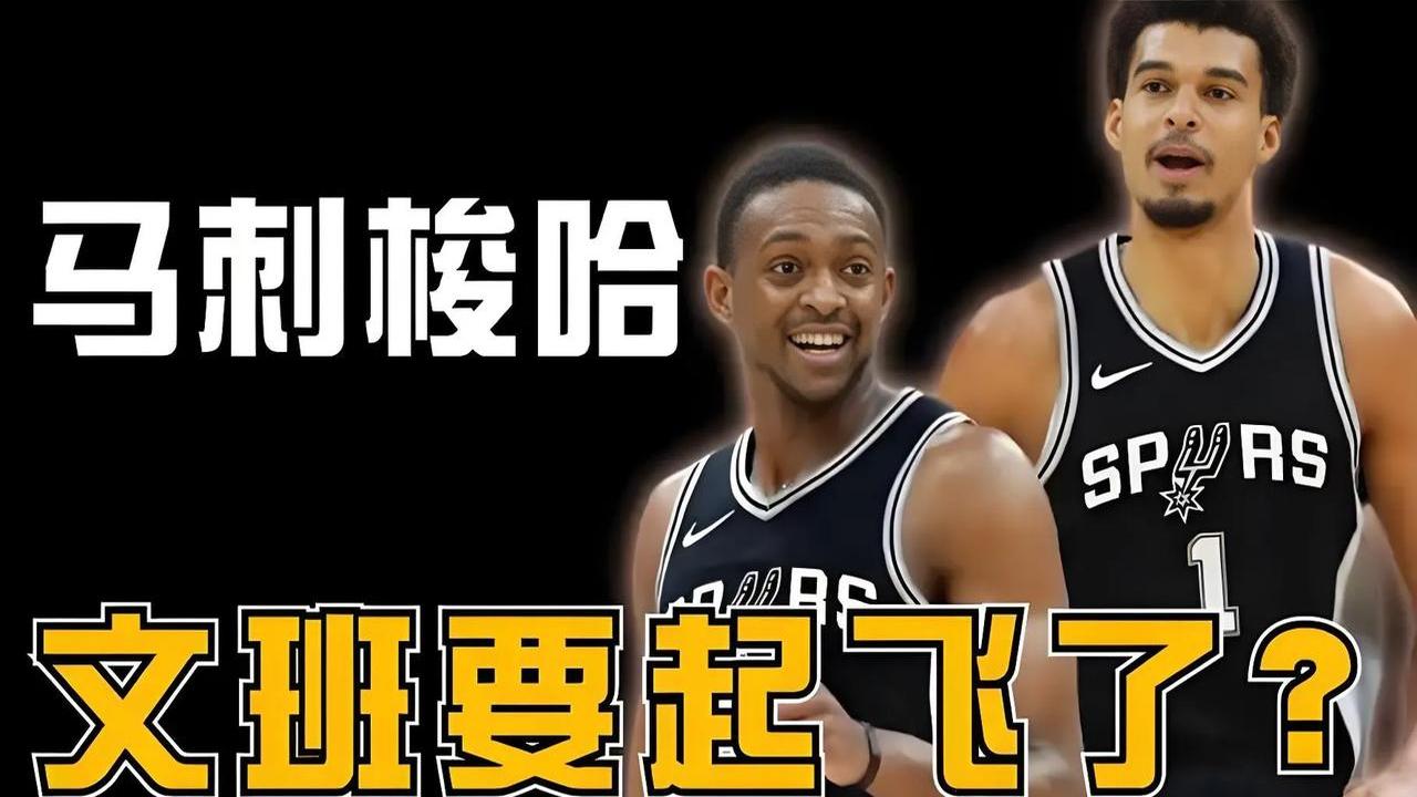 -国王队进攻火力强劲，让对手束手无策的简单介绍